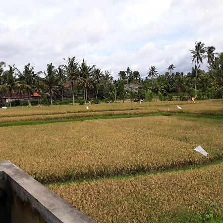 Umah Dangin Guest House Ubud  Luaran gambar