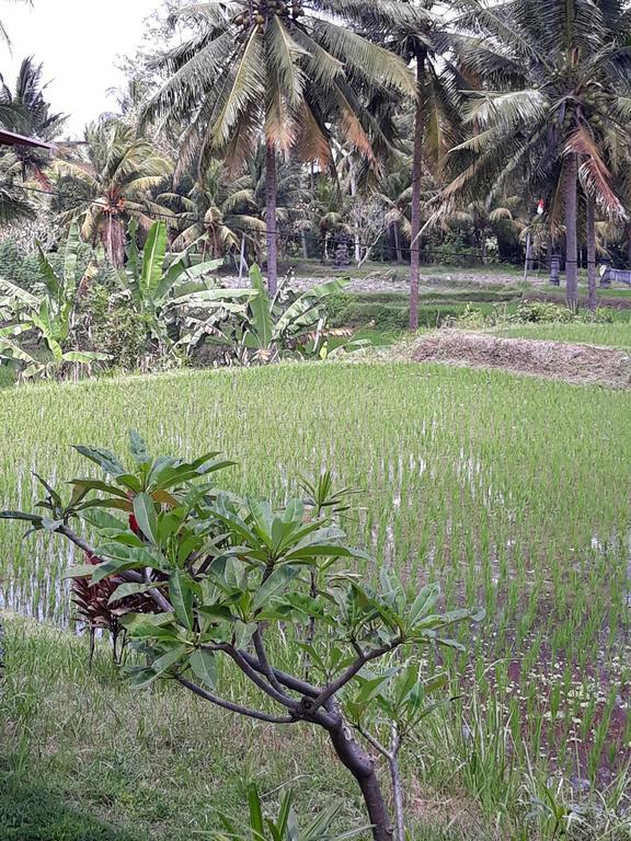 Umah Dangin Guest House Ubud  Luaran gambar