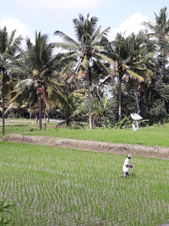 Umah Dangin Guest House Ubud  Luaran gambar