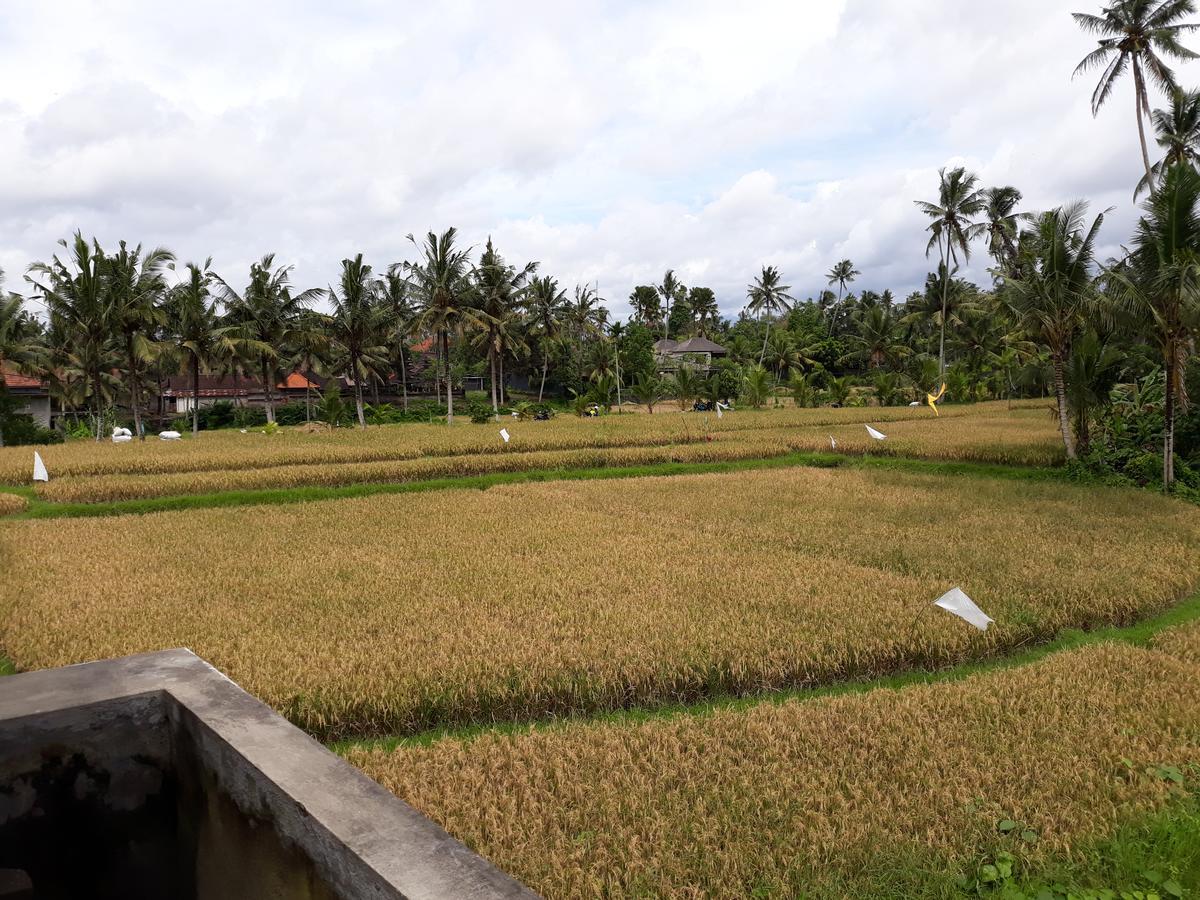 Umah Dangin Guest House Ubud  Luaran gambar